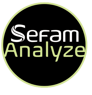 sefam Analyzeのイラスト